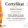 Powiększ obraz: certificate 7