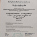 Powiększ obraz: certificate 5