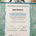 Powiększ obraz: certificate 17