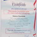 Powiększ obraz: certificate 2