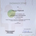 Powiększ obraz: certificate 6
