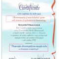 Powiększ obraz: certificate 8