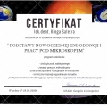 Powiększ obraz: certificate 7