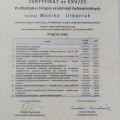 Powiększ obraz: certificate 3