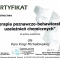 Powiększ obraz: certificate 2