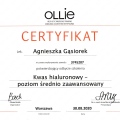 Powiększ obraz: certificate 12