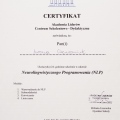 Powiększ obraz: certificate 10