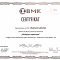 Powiększ obraz: certificate 38