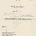 Powiększ obraz: certificate 6