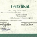 Powiększ obraz: certificate 8