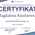Powiększ obraz: certificate 9