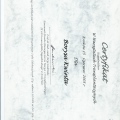 Powiększ obraz: certificate 7