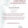 Powiększ obraz: certificate 25