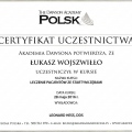 Powiększ obraz: certificate 1