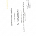 Powiększ obraz: certificate 31