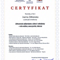 Powiększ obraz: certificate 8