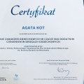 Powiększ obraz: certificate 5