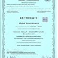 Powiększ obraz: certificate 4
