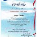 Powiększ obraz: certificate 8
