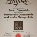 Powiększ obraz: certificate 9