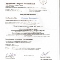 Powiększ obraz: certificate 27