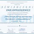 Powiększ obraz: certificate 6