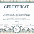 Powiększ obraz: certificate 4