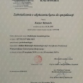 Powiększ obraz: certificate 1