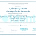 Powiększ obraz: certificate 16