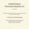 Powiększ obraz: certificate 3