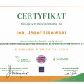Powiększ obraz: certificate 2