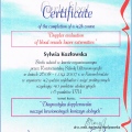 Powiększ obraz: certificate 5