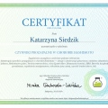 Powiększ obraz: certificate 53