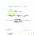 Powiększ obraz: certificate 10