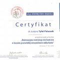 Powiększ obraz: certificate 3
