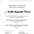 Powiększ obraz: certificate 2