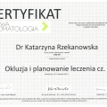 Powiększ obraz: certificate 19