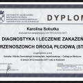 Powiększ obraz: certificate 11