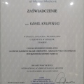 Powiększ obraz: certificate 12