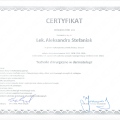 Powiększ obraz: certificate 7