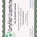 Powiększ obraz: certificate 15