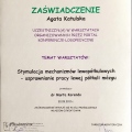 Powiększ obraz: certificate 9