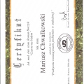 Powiększ obraz: certificate 13