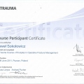 Powiększ obraz: certificate 7
