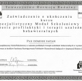 Powiększ obraz: certificate 4