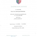 Powiększ obraz: certificate 19