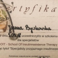 Powiększ obraz: certificate 4