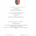 Powiększ obraz: certificate 22