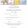 Powiększ obraz: certificate 1