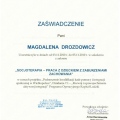 Powiększ obraz: certificate 24